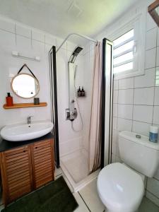 ein Bad mit einer Dusche, einem WC und einem Waschbecken in der Unterkunft Bungalow Java - Bassin Manapany-Les-Bains in Saint-Joseph