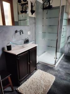 een badkamer met een wastafel en een douche bij Antico Affittacamere di Tollegno in Tollegno