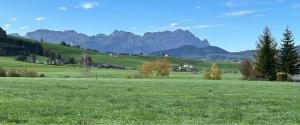 un champ d'herbe verte avec des montagnes en arrière-plan dans l'établissement Schwantlernegg Gais, Möblierung folgt, à Gais