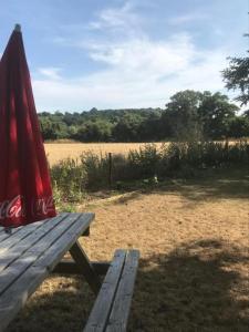a wooden picnic table with a red umbrella on it at The Penruddocke Arms in Dinton