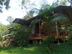 una casa con una palmera delante de ella en Eco Villa Uaturi, en Iquitos