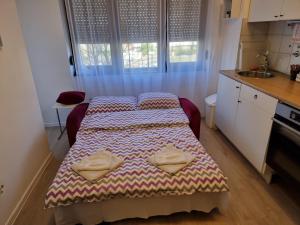 Kuchyň nebo kuchyňský kout v ubytování Studio apartman Šapudl
