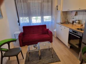Kuchyň nebo kuchyňský kout v ubytování Studio apartman Šapudl