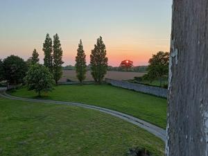 a path in a field with trees and a sunset at l'appart de la Maison du Hommeel in Gratot +4 photos