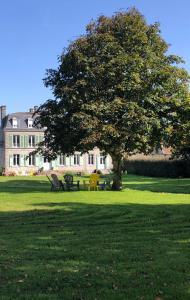 a tree in the middle of a park with benches at l'appart de la Maison du Hommeel in Gratot
