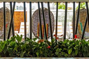 Jardí fora de Oasis Hotel Waikiki