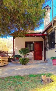 a cat sitting in the grass in front of a house at Το Πέτρινο Σπιτάκι in Tríkala