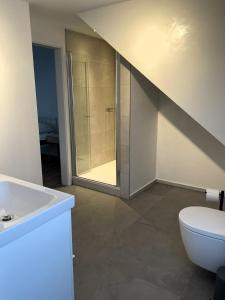 La salle de bains est pourvue de toilettes blanches et d'un lavabo. dans l'établissement Wohnung mit großer Dachterrasse, à Aix-la-Chapelle