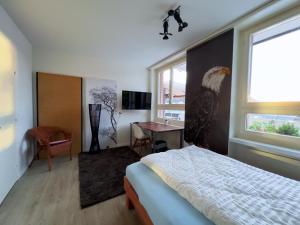 1 dormitorio con una pintura de águila en la pared en Gery's Camp, en Lucerna