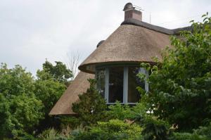 a thatched cottage with a thatched roof at Reetgedecktes Espenhaus in Grebin