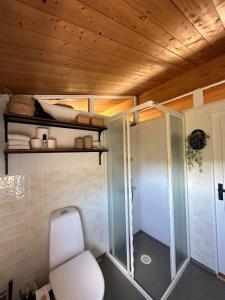 een badkamer met een toilet en een glazen douche bij Hestaland Horse Farm Cottage in Borgarnes