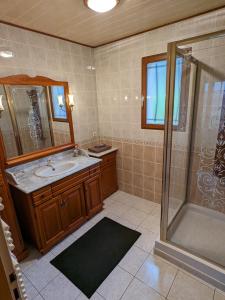 a bathroom with a sink and a shower at CYGNE-CYCLES chambre d'hotes 