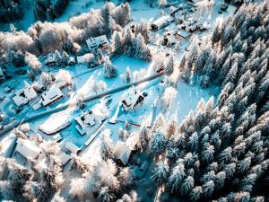 an aerial view of a snow covered yard with trees at Berghaus in Kurort Bärenburg