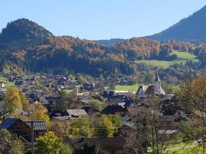 una pequeña ciudad en un valle con una montaña en Apartments Winkler en Bad Goisern