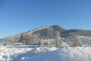 Une montagne au loin avec de la neige et des arbres dans l'établissement Apartments Winkler, à Bad Goisern