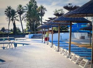 een zwembad met stoelen, parasols en palmbomen bij Mobil home 6 personnes in Saint-Cyprien