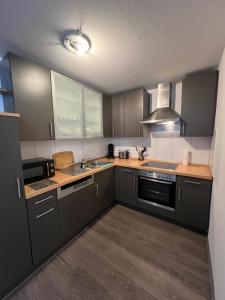 uma cozinha com armários cinzentos e um forno com placa de fogão em City Unterkunft 4 em Heilbronn