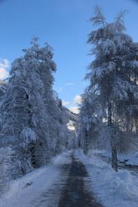 ハインフェルスにあるGästehaus Ortnerの雪道