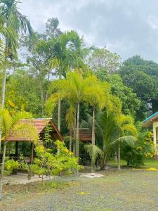 a group of palm trees in front of a house at Baanrimklong bungalow in Ko Chang