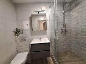 a bathroom with a shower and a sink and a toilet at Jaukūs apartamentai centre A. J. Greimo g. in Šiauliai
