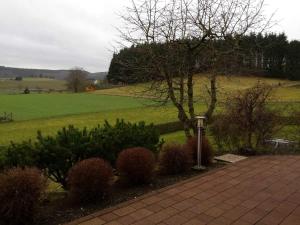 梅德巴赫Ferienwohnung Haus Weitblick的田野里种有灌木和树的花园