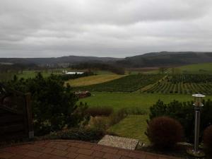 梅德巴赫Ferienwohnung Haus Weitblick的享有葡萄园美景。