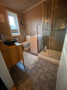 a bathroom with a shower and a sink and a toilet at Hytte i Neverfjord. in Kvalsund
