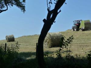 a group of hay bales in a field with a tractor at Ferienwohnungen Hansmartihof in Horben