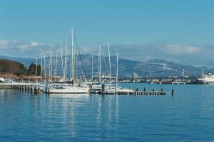 eine Gruppe von Booten, die an einem Dock im Wasser angedockt sind in der Unterkunft Portside Inn Hakodate in Hakodate