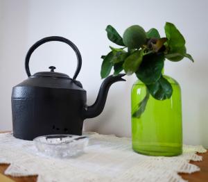 a black tea kettle and a green vase with a plant at Beleza da Fazenda in Nordeste