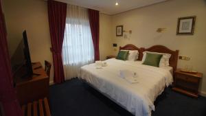 a hotel room with a large bed and a television at HOTEL RIAZA in Riaza