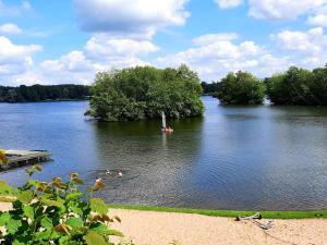 a group of people swimming in a lake at UnserGuesterHaus in Güster
