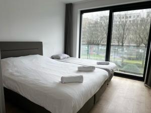 ein Schlafzimmer mit einem großen Bett mit zwei Kissen darauf in der Unterkunft Furnished 2 Bedroom Apartment in City Center in Brüssel