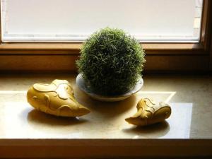 a plant in a vase next to a pot on a window at Appartement Halle Westfalen Künsebeck in Halle Westfalen