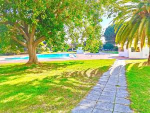 een pad in een park met een boom en een zwembad bij Resort Albufeira T1, Praia da Oura in Albufeira