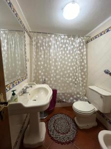 Casais do Chão da MendigaにあるCasa do Largoのバスルーム(洗面台、トイレ、シャワー付)