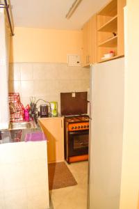 Η κουζίνα ή μικρή κουζίνα στο Two bedroom bnb in thika town