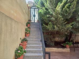a stairway with potted plants on the side of a building at شقه مفروشه مع حديقه اربد بجانب مدارس دار العلوم in Irbid