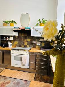 a kitchen with a stove and a counter top at Casa di Lo in Ciampino