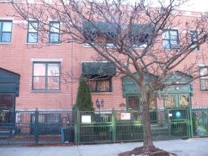 a tree in front of a red brick building at Booking.Com Exxlusive: Fully Furnished One Bedroom Entire Apartment With Full Size Bed. For One Person Or Couple, Soulmate Positive Friendship in Brooklyn