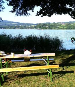a picnic table with a view of a lake at Pension Zenzlgut in Tiefgraben