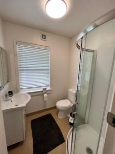 a bathroom with a toilet and a sink and a shower at Eden Park House Auckland in Auckland
