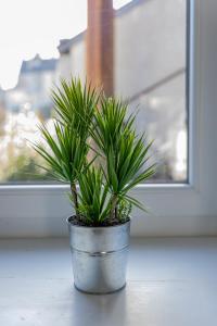 uma planta em vasos sentada no parapeito da janela em Le Refuge des Grands Rassemblements em Châteaudun