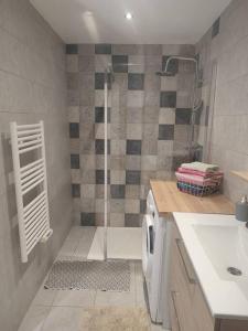 La salle de bains est pourvue d'une douche et d'un lavabo. dans l'établissement Charmant appartement proche de toutes commodités, à Marseille