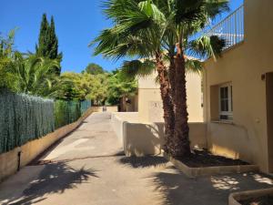 una palma su un marciapiede accanto a una recinzione di La Esperanza a Cala Murada