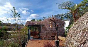 Zahrada ubytování Natural Home Đà Lạt