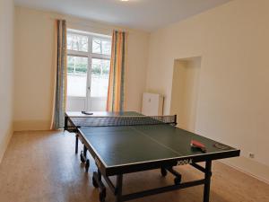 Stolní tenis v ubytování Villa Bleichröder nebo okolí