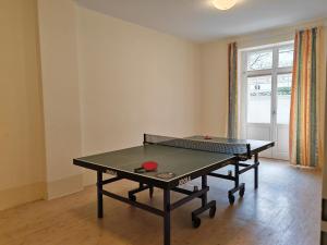 Stolní tenis v ubytování Villa Bleichröder nebo okolí