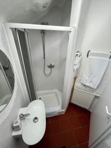 ein Bad mit einer Dusche, einem WC und einem Waschbecken in der Unterkunft Ferienloft A15 im Atelier Bauer in Fladungen