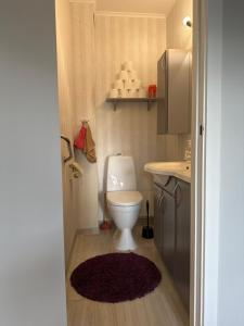 a small bathroom with a toilet and a sink at House close to Ålesund center in Ålesund +23 photos